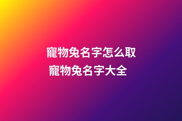寵物兔名字怎么取 寵物兔名字大全